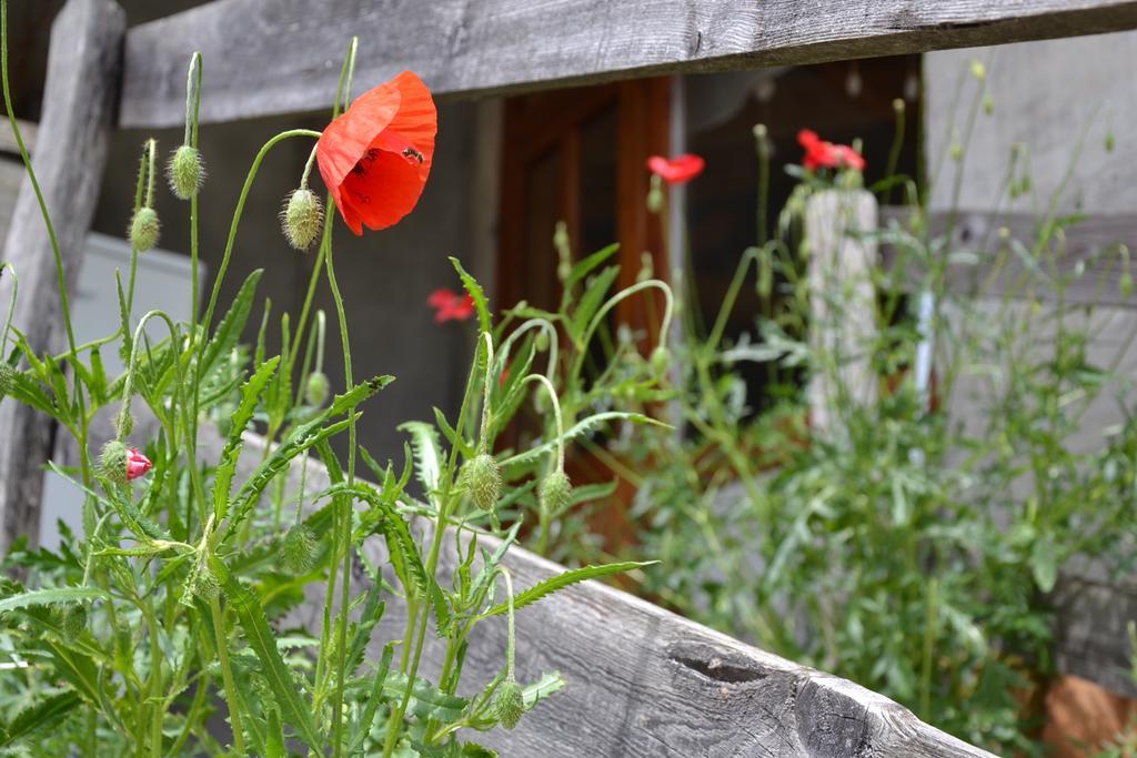 Holiday Farmhouse Skvor Robidisce 외부 사진