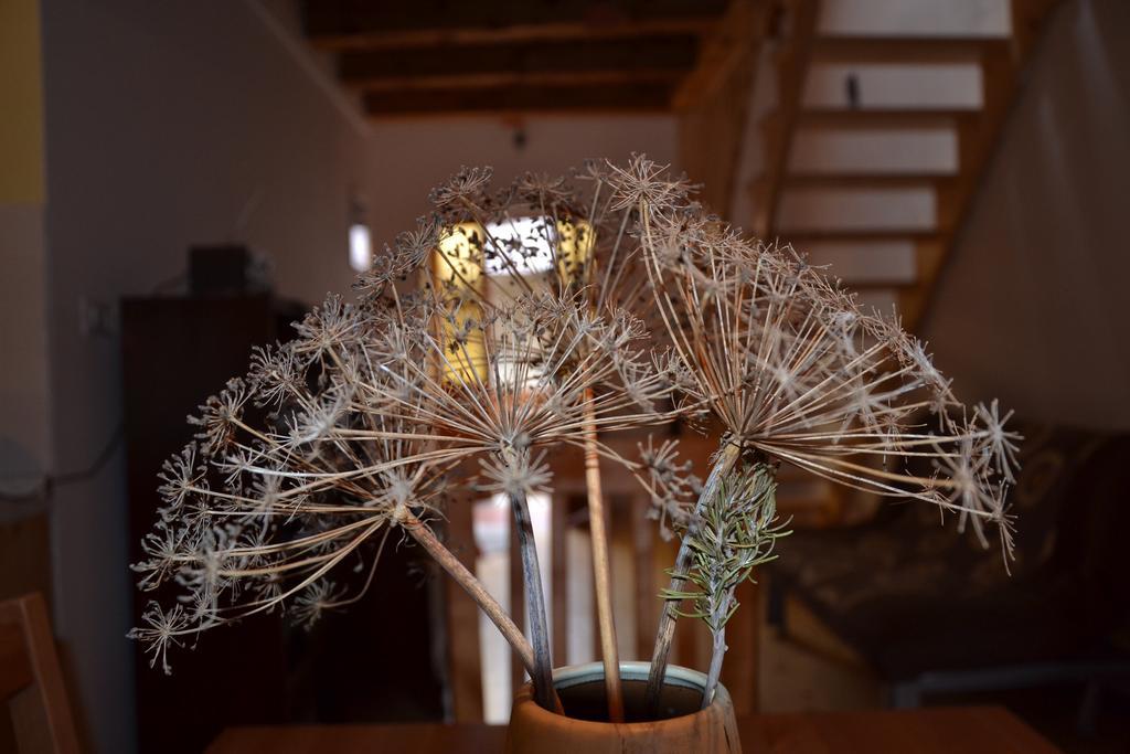 Holiday Farmhouse Skvor Robidisce 외부 사진